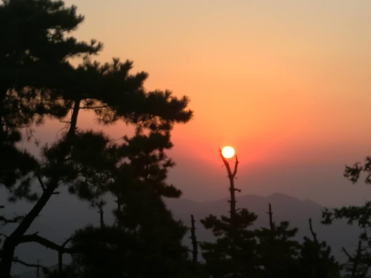 Mogan Mountain Xiaomusensen Villa Deqing Bagian luar foto