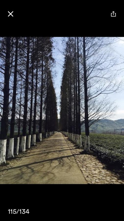Mogan Mountain Xiaomusensen Villa Deqing Bagian luar foto