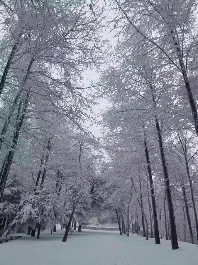 Mogan Mountain Xiaomusensen Villa Deqing Bagian luar foto