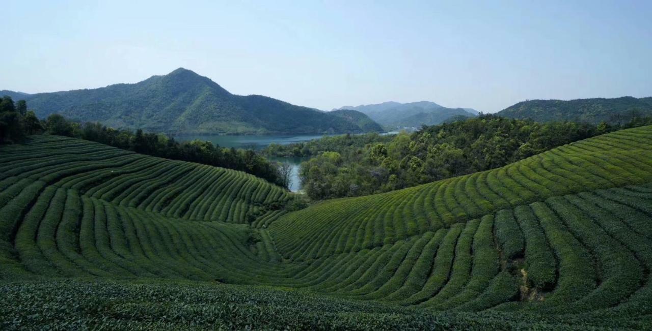 Mogan Mountain Xiaomusensen Villa Deqing Bagian luar foto